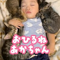 寝ている子どもと子猫たち