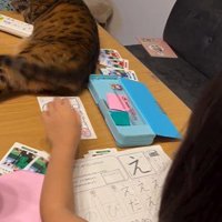 宿題をしている子どもと目の前で横になっている猫