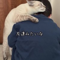玄関にいる男の子にすり寄る猫