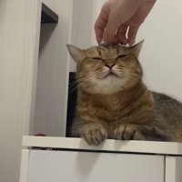 ヘッドマッサージ