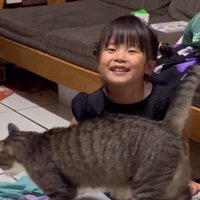 猫が近づいてきて笑顔になる女の子