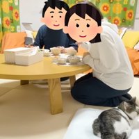 女性の隣に座っている猫