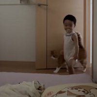 寝室に入ってくる男の子と猫