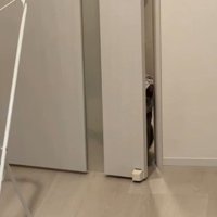 ドアの隙間からのぞく何か