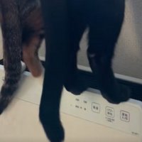 空気清浄機に乗せる足のアップ