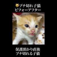 ベロ出し