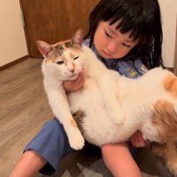 顎の下を撫でられる猫