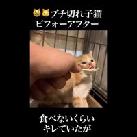 キョトンとした表情