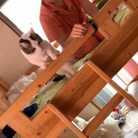 掴まり立ち