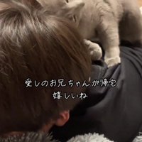 人にすり寄っている猫