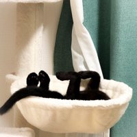 ハンモックの中で足を上げてくつろぐ猫