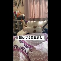 踏んづけ目覚まし