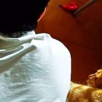 男性と猫
