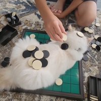 動かない
