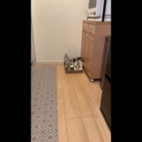 少し近づいて
