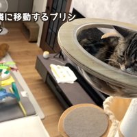 赤ちゃんの隣に移動