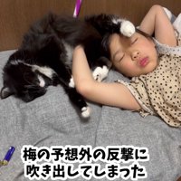 予想外の反撃
