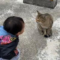 男の子に向けて鳴く猫