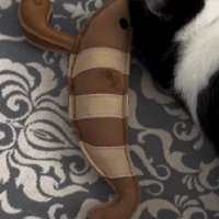 エビのぬいぐるみ