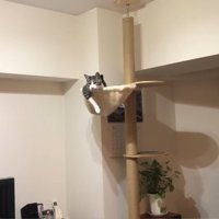 ハンモック