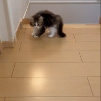近づくカメラ