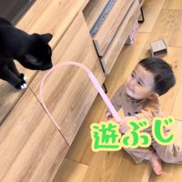 テロップ「遊ぶじょ!!」
