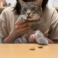 抱っこされるスピカちゃん