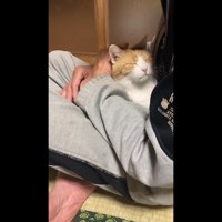 目を閉じた姿