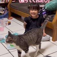 猫にしっぽを当てられて笑顔になる女の子