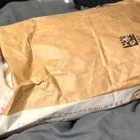 紙袋に入っている猫