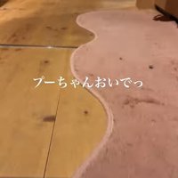 誰もいない廊下