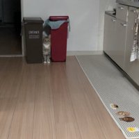 引きのアングルで撮影したキッチン