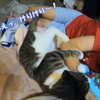 娘さんの腕にけりけりする猫