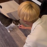 男性の手の匂いを嗅ぐ猫