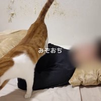 主さんを踏んでいくはっさくくん