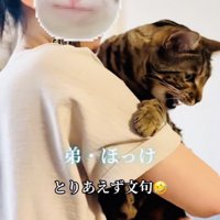 飼い主さんに抱っこされる弟ベンガル