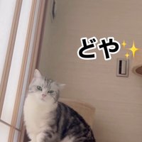 「どやちゃうねん」と書かれた写真