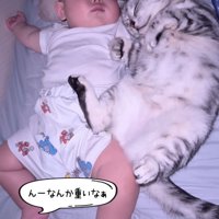 眠る赤ちゃんと猫