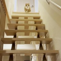 階段の上