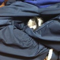 隙間へ真っ逆さま