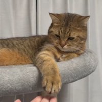 ねむそうなみにらくん