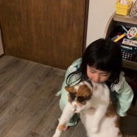 猫を抱っこしようとする女の子