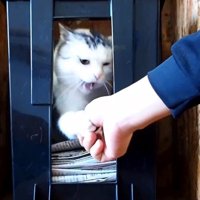 口を開けながらタッチ