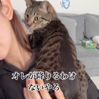 上着を着た飼い主の肩に乗っている猫
