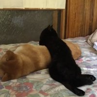 乗りながら横を向く天くん