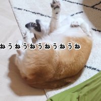 うねうね