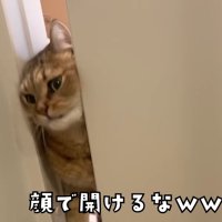 顔で開けるな(顔が出そうに)