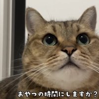 「おやつの時間にしますか？」のテロップ写真2