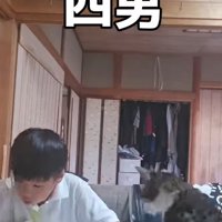 宿題をしている男の子と猫