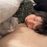 ベッドで寝ている人と2匹の猫